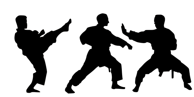Kaiyun击剑培训