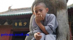 体育培训机构(培训班、学校)哪家好 - 招生网(图6)