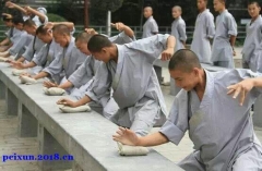 体育培训机构(培训班、学校)哪家好 - 招生网(图9)