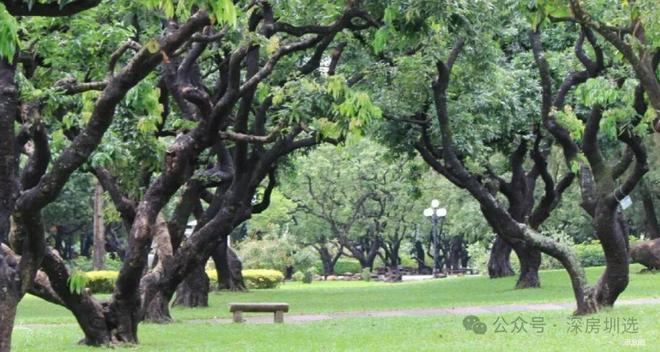 ☎官方聚焦 观山海家园官方售楼处发布：启幕理想生活新篇(图10)