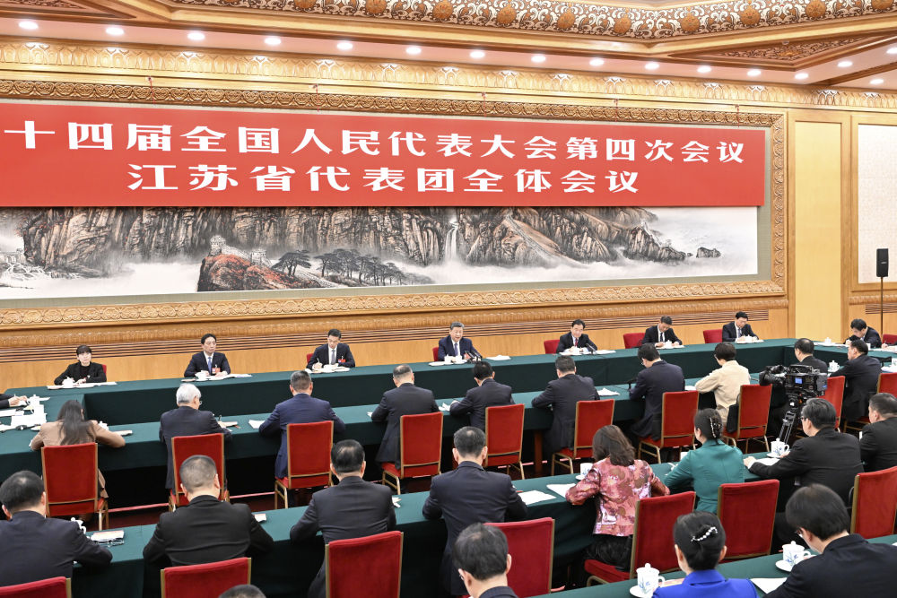 总书记参加江苏代表团审议这篇侧记细节丰富(图7)