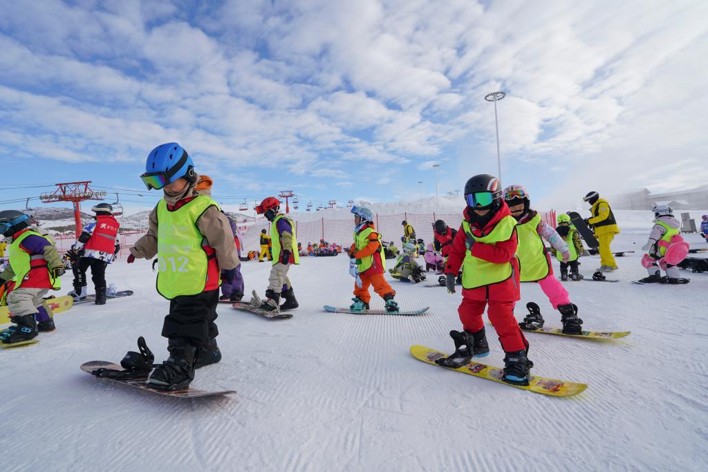 两会现场速递丨护生命之花 结经济硕果 夯强国之基——代表委员谈政府工作报告中的“体育任务书”(图3)
