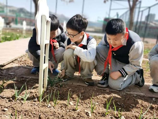 三个关键词看济南市中教育如何落实“健康第一”(图10)