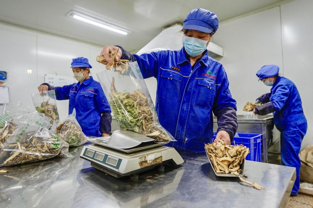 习近平总书记同人大代表、政协委员共商国是纪实(图9)