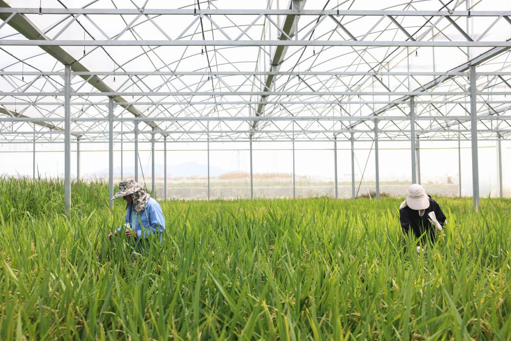 习近平总书记同人大代表、政协委员共商国是纪实(图6)