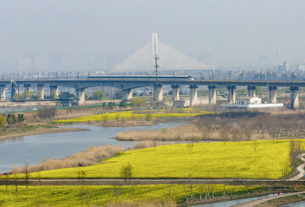 习近平总书记同人大代表、政协委员共商国是纪实(图10)