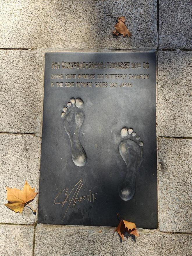 “健”证南体活力“三连”学训科“三位一体”南体融合跃升 健身、健康、健将如何协同发展？(图2)