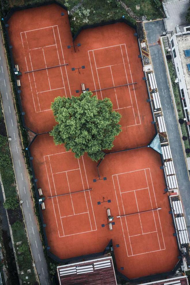 “健”证南体活力“三连”学训科“三位一体”南体融合跃升 健身、健康、健将如何协同发展？(图10)