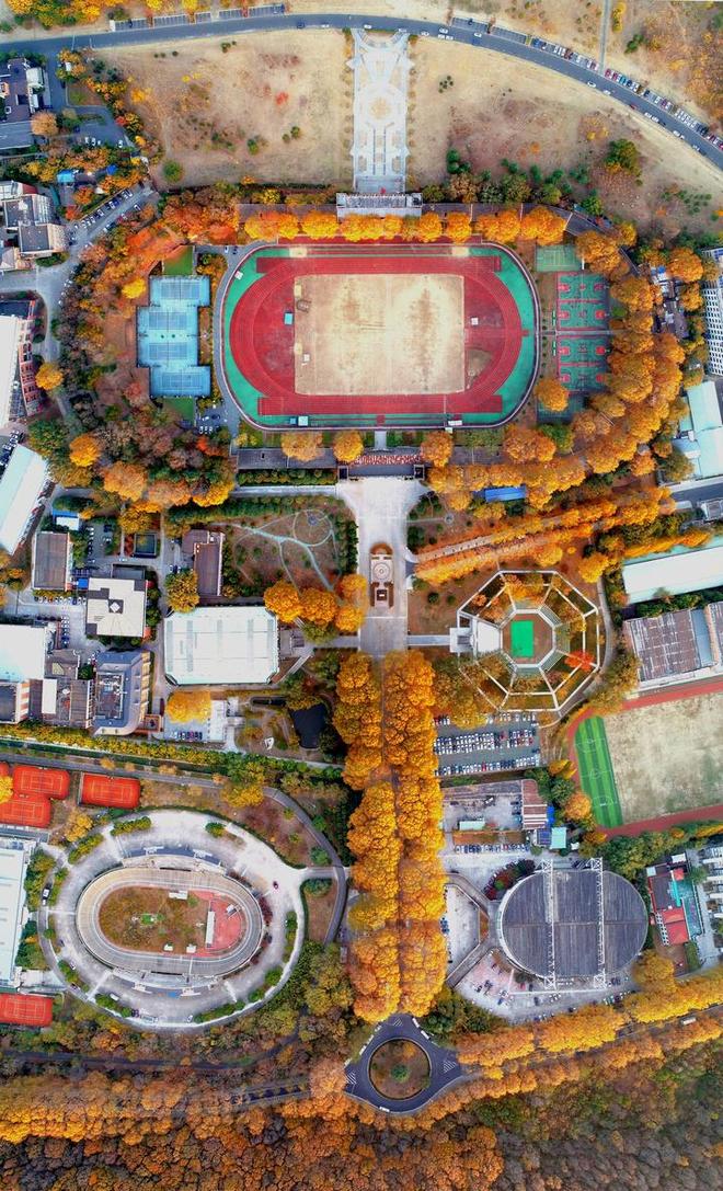 “健”证南体活力“三连”学训科“三位一体”南体融合跃升 健身、健康、健将如何协同发展？(图9)