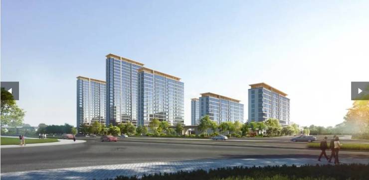 【合肥值得买的新房】保利海上瑧悦新房周边配套-学区(图5)