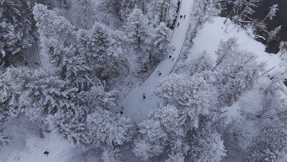 【习声回响·冰雪春天】“川”越冰雪 蜀山出圈(图1)