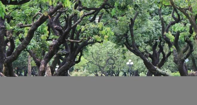 ▫️官方发布观山海家园售楼处官方网站-低密、纯粹、高定舒适(图7)