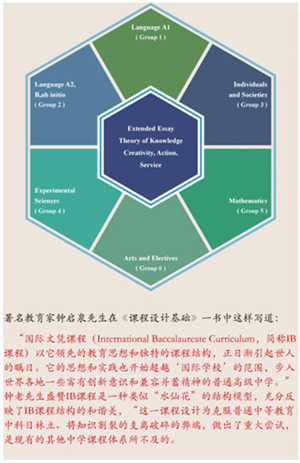 IB课程走红但开设学校不多北上广哪些学校有？(图1)