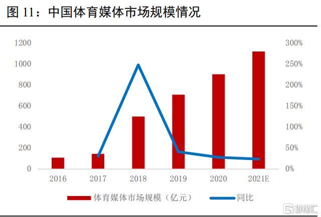 体育服务行业市场深度分析及发展趋势预测报告docx(图1)