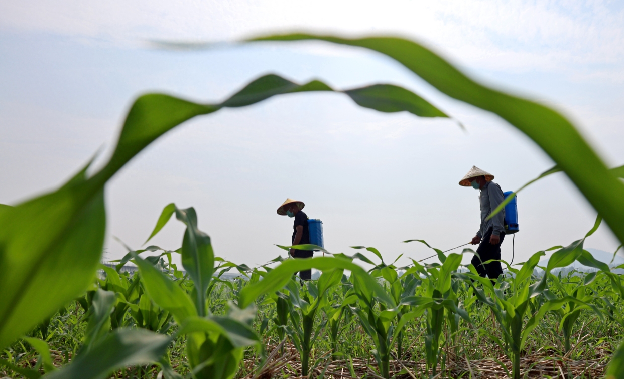 【8点见】731部队原成员口述证言曝光：我解剖过300多人(图15)