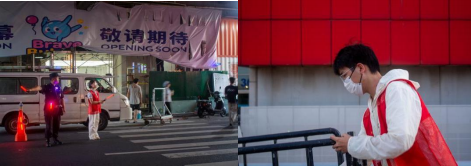 青春智献赛场！南工程学子 AI 赋能体育强国方案登政府内刊(图2)