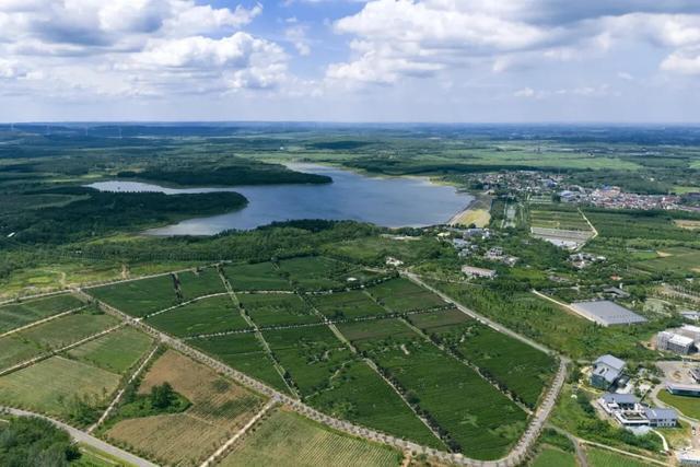 正式成立全区首家(图3)