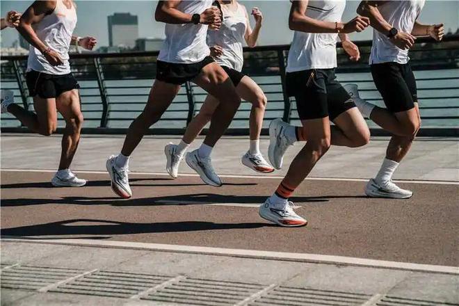 鸿星尔克与“双一流”大学正式达成战略合作！(图6)