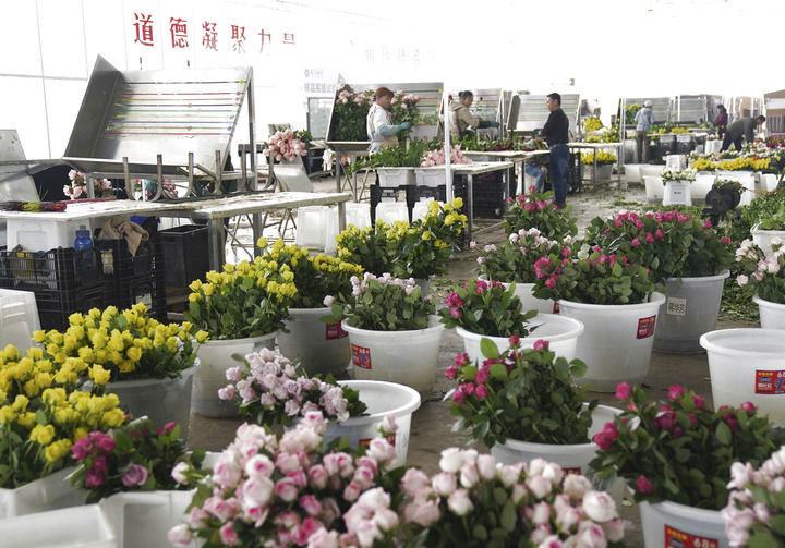 新的伟大奋斗创造新的历史伟业——以习近平同志为核心的党中央引领“十四五”经济社会发展纪实(图11)