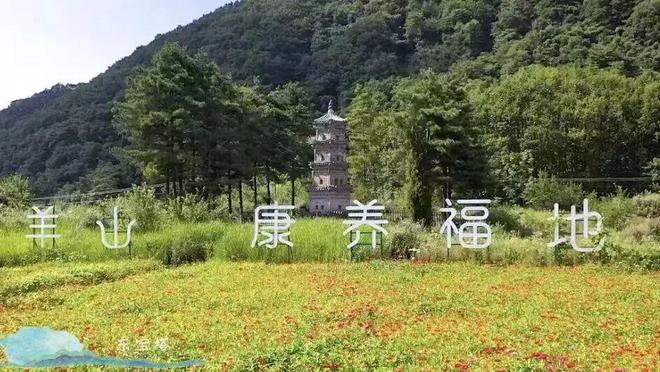 【山水好时光 周末到安康】安康周末游玩攻略来了！（10月22日-28日）(图10)