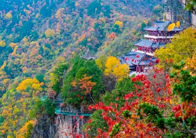 【山水好时光 周末到安康】安康周末游玩攻略来了！（10月22日-28日）(图30)