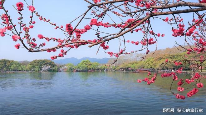 苏州旅行社排名前十名全面更新靠谱推荐旅游者必看！(图2)