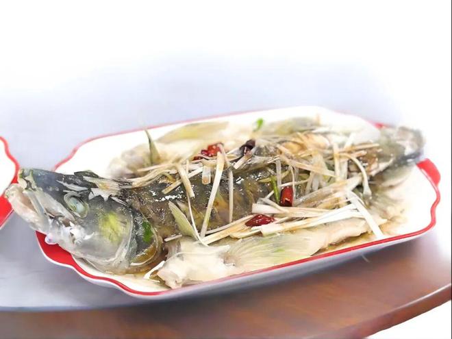 德州陵城育珍鲜！渔库农业以梭鲈铸就北方高端水产新标杆(图4)