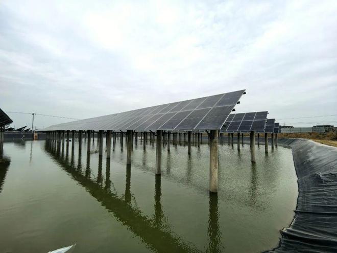 德州陵城育珍鲜！渔库农业以梭鲈铸就北方高端水产新标杆(图5)