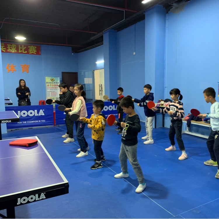 完善保障机制 厚植人才沃土 枣庄竞技体育后备人才培养走深走实