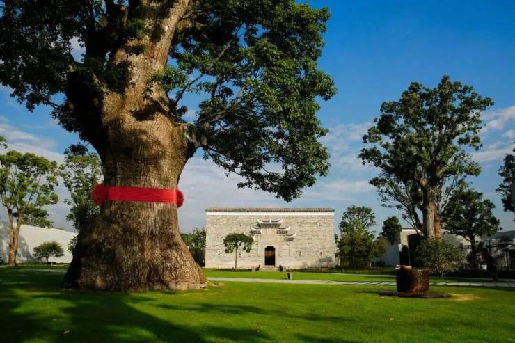 尚园售楼处│尚园(营销中心) 官网 - 2026销售中心 (售楼处)- 楼盘欢迎您 价格  户型  地址环境配套交房时间电话(图12)