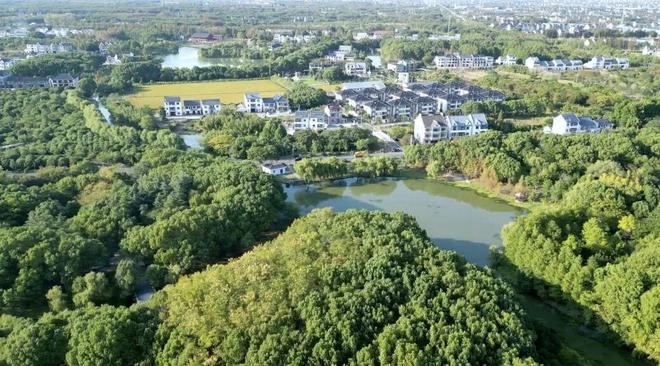 关于金山养老、农业、体育他们这样说！(图4)