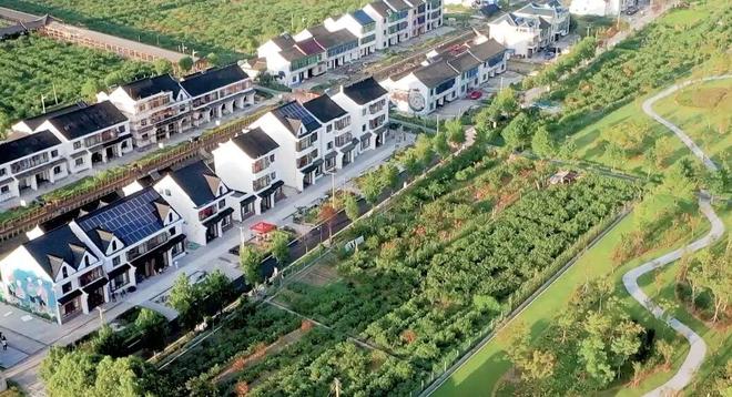 关于金山养老、农业、体育他们这样说！(图3)