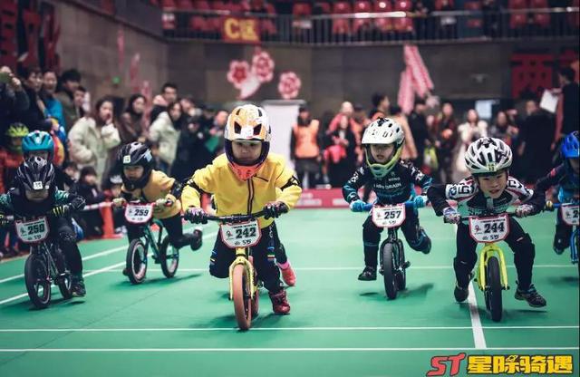 体育场馆行业全景调研与投资趋势预测