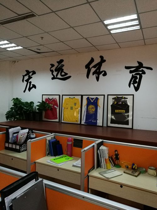 2026体育单招文化课辅导机构可靠推荐榜