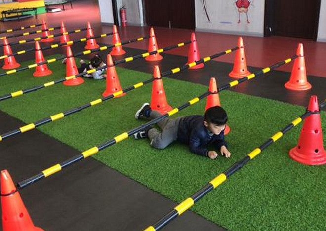 体育培训服务合作合同docx