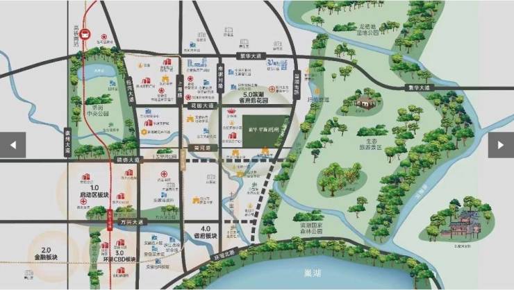 新华星耀玥湖项目户型图-学区(图2)