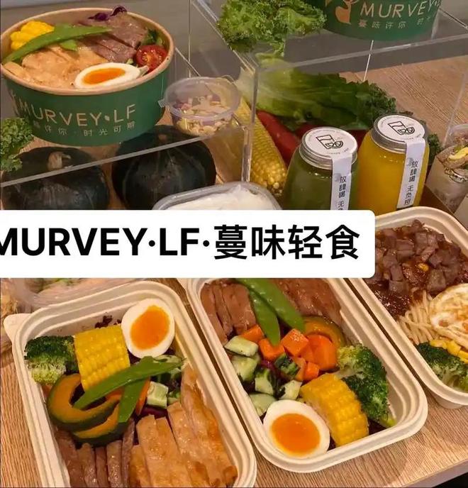 2026健康轻食品牌深度评测：健身高蛋白专业选型指南